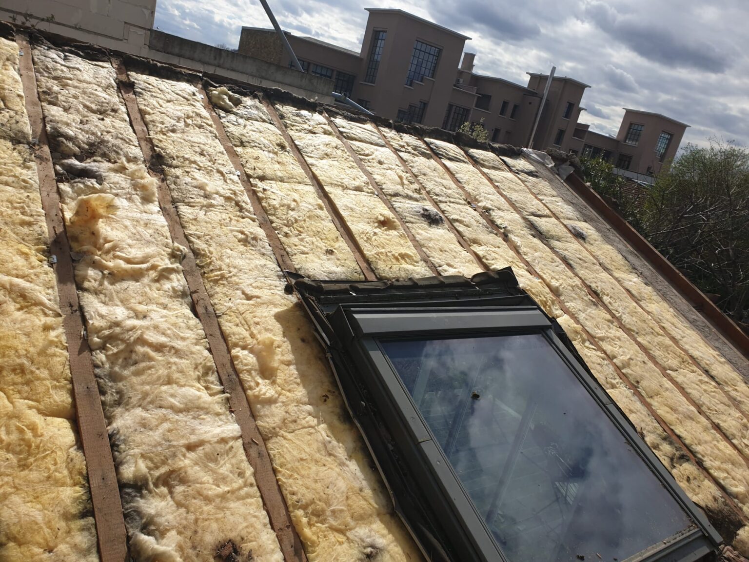 WhatsApp Image 2025-10-25 at 10.52.49 (1)