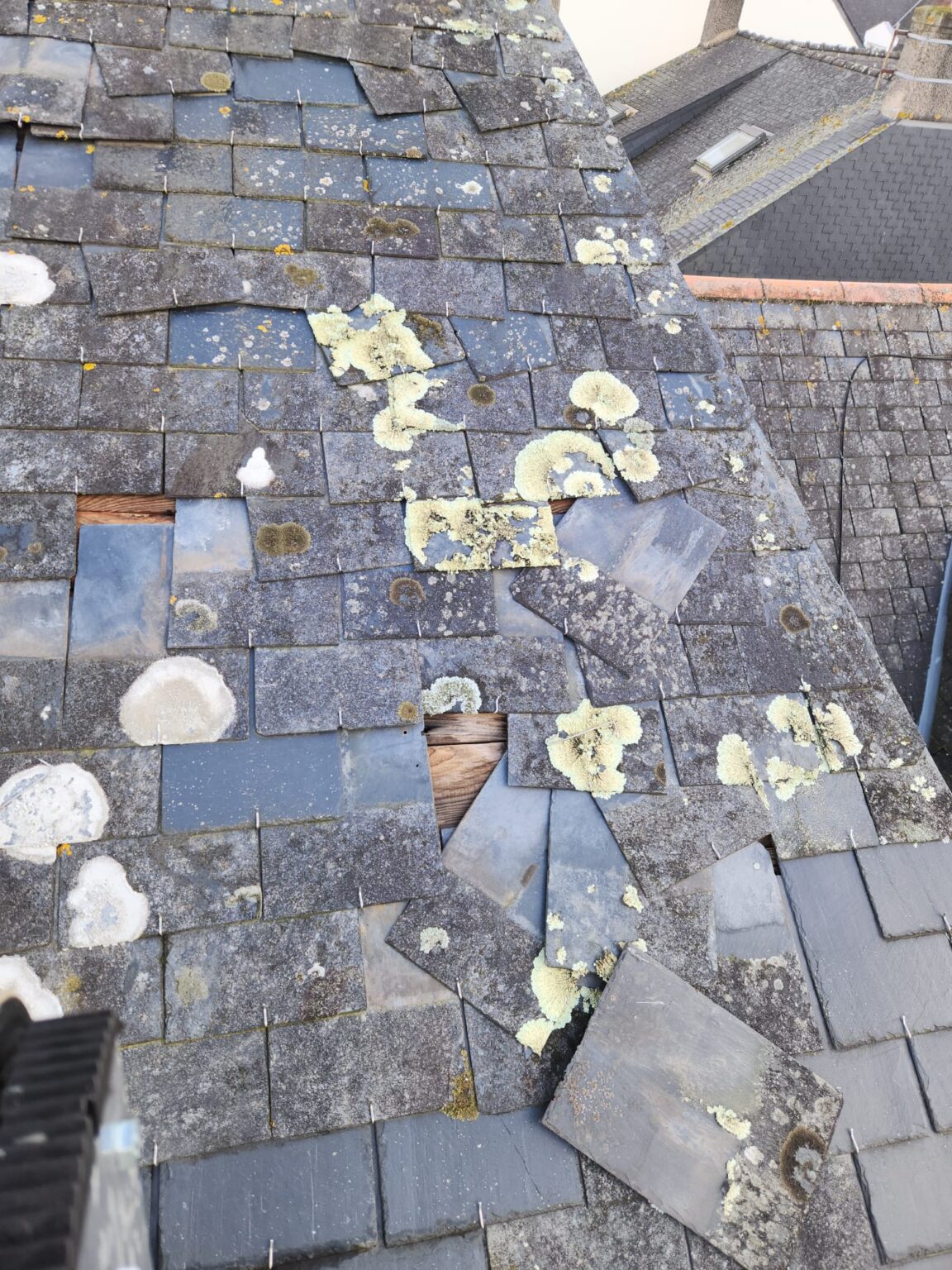 WhatsApp Image 2025-10-25 at 10.58.07