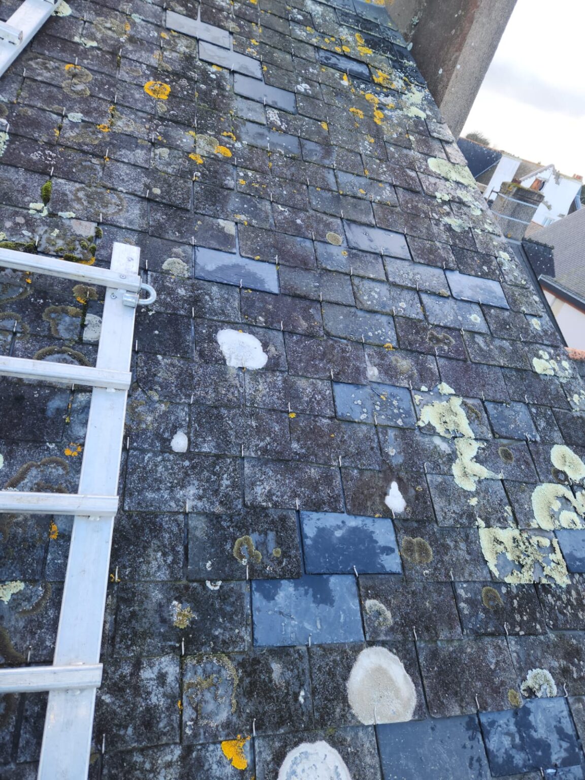 WhatsApp Image 2025-10-25 at 10.58.08 (1)