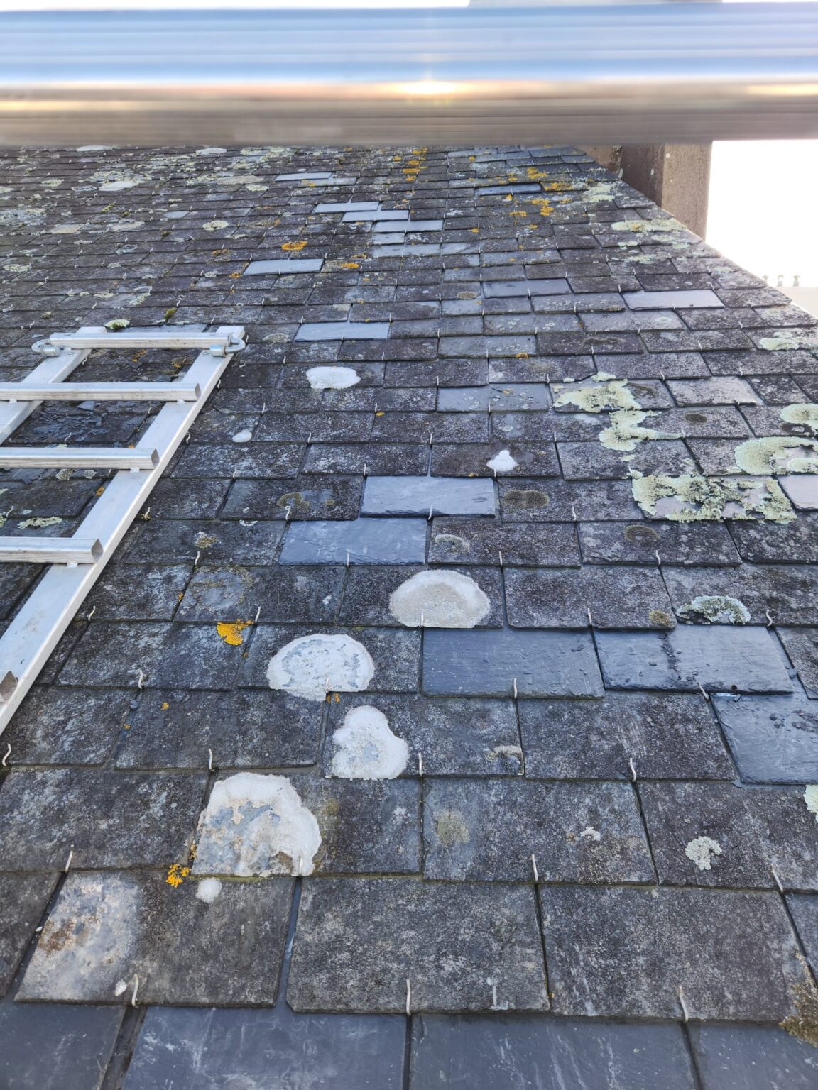 WhatsApp Image 2025-10-25 at 10.58.08 (2)